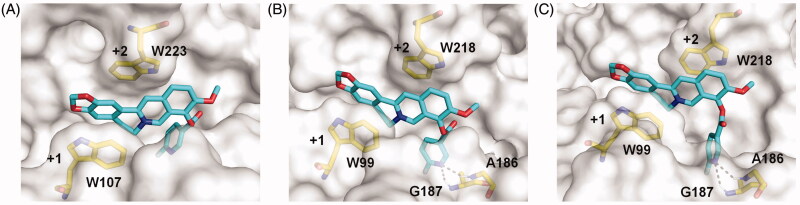 Figure 3.