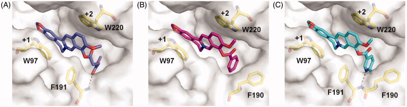 Figure 2.