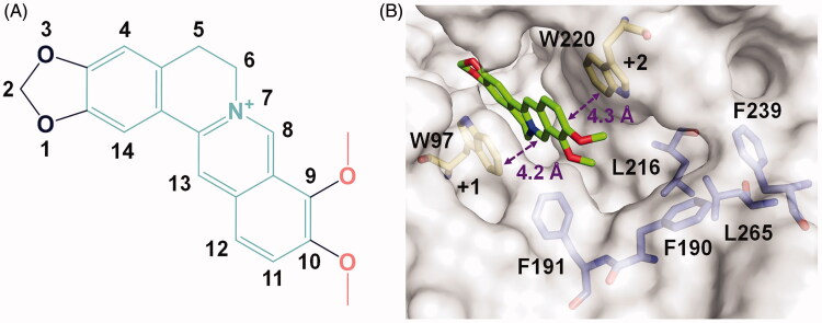 Figure 1.