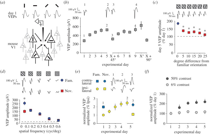 Figure 3.