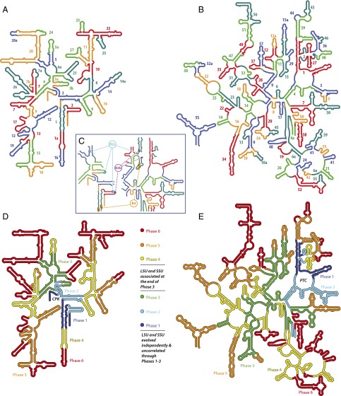 Fig. 2.