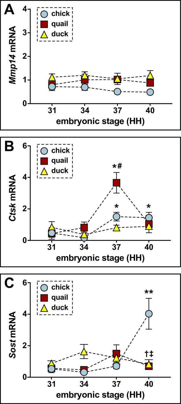 Figure 2—figure supplement 3.