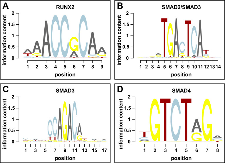 Figure 6—figure supplement 1.