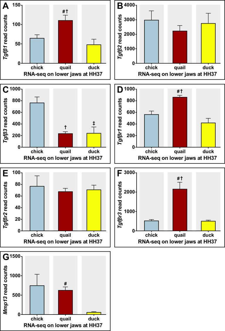 Figure 2—figure supplement 4.