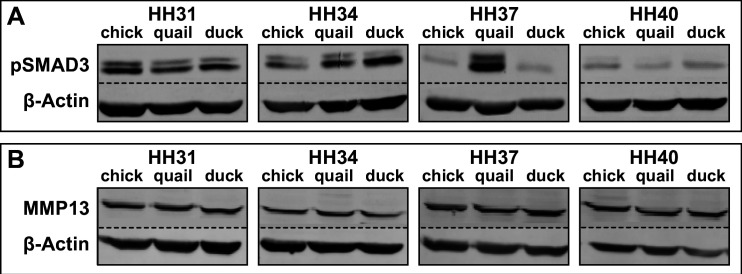 Figure 2—figure supplement 2.