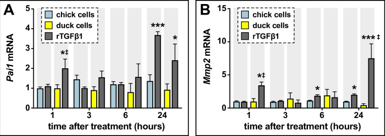 Figure 3—figure supplement 2.