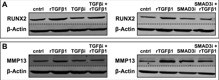 Figure 3—figure supplement 3.