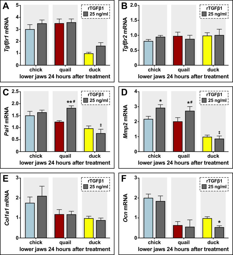 Figure 4—figure supplement 2.