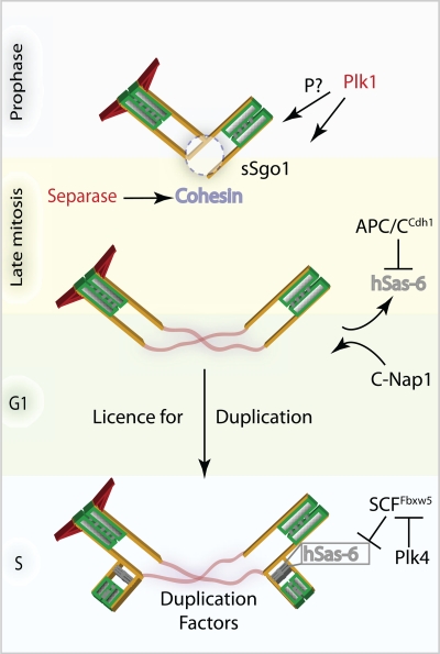 Figure 2.