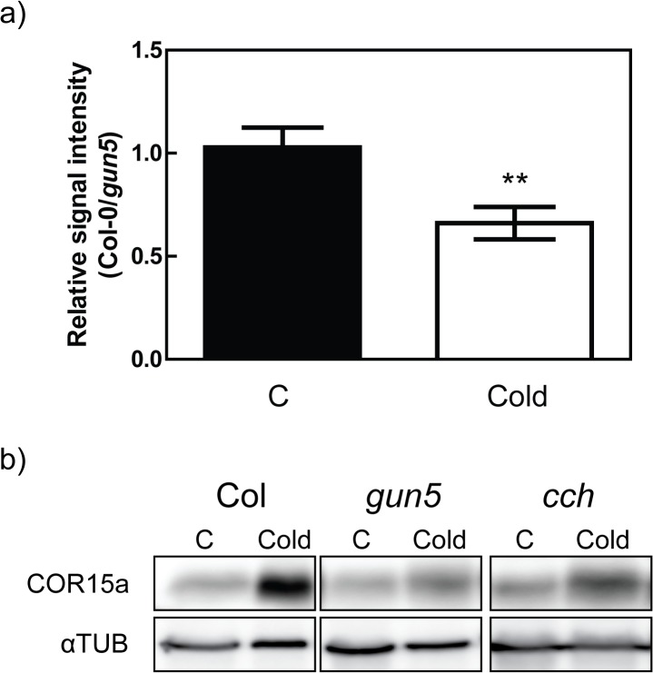 Fig 8