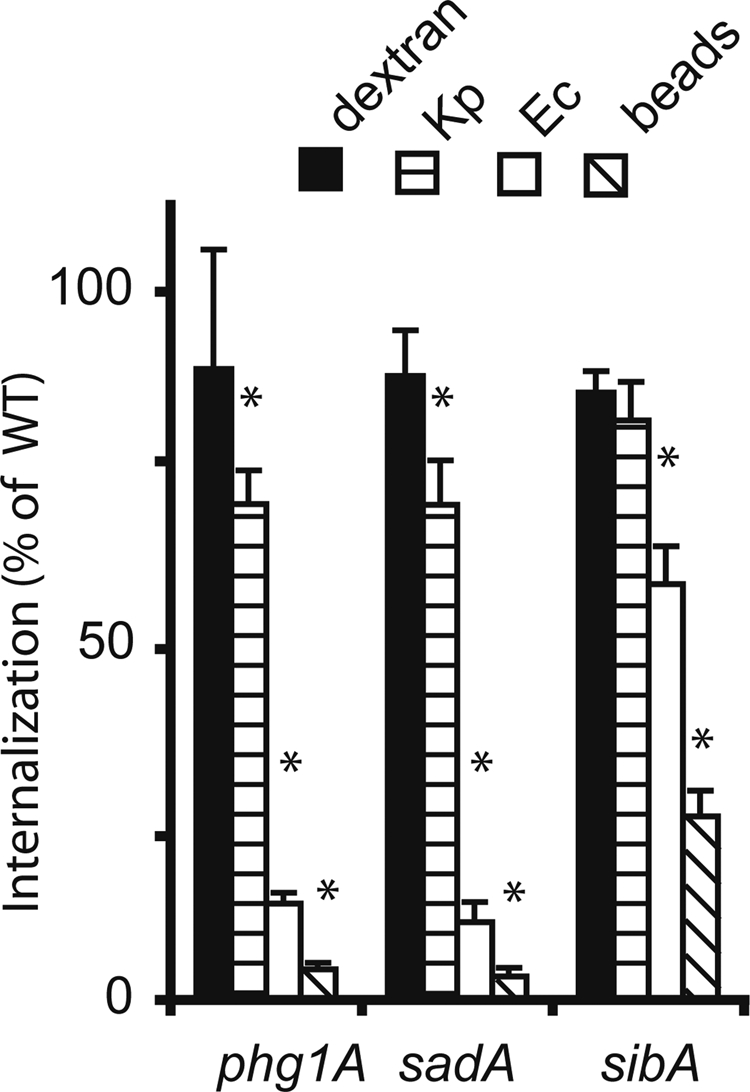 FIGURE 1: