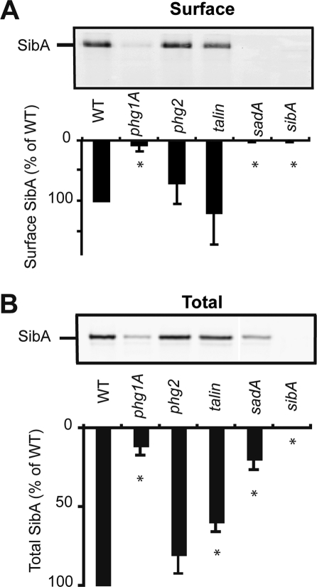 FIGURE 2: