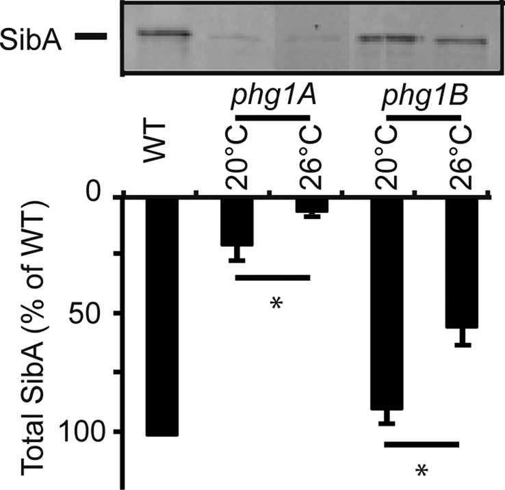 FIGURE 3: