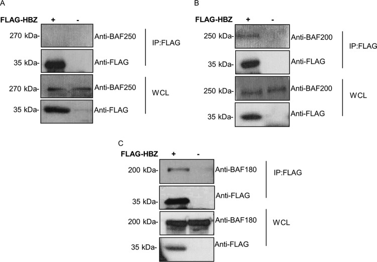 FIG 2