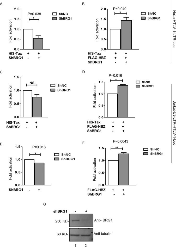 FIG 6