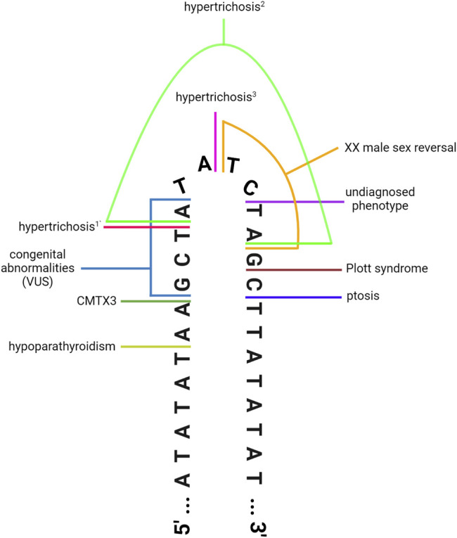 FIGURE 1