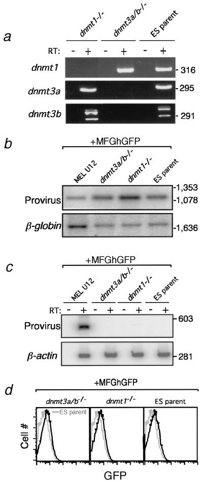 FIG. 5.