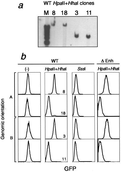 FIG.3.