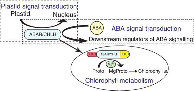 Fig. 2.