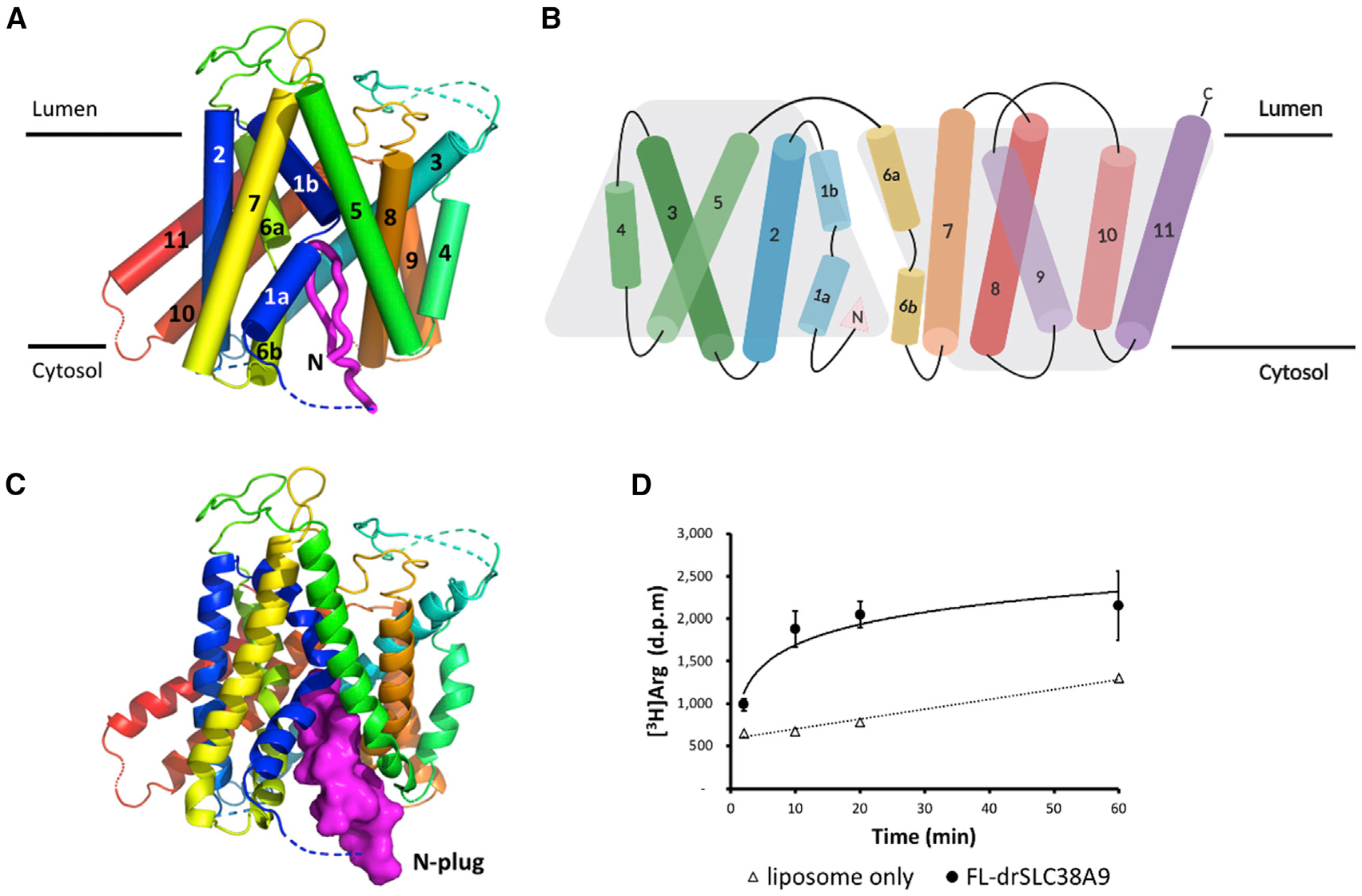 Figure 1.