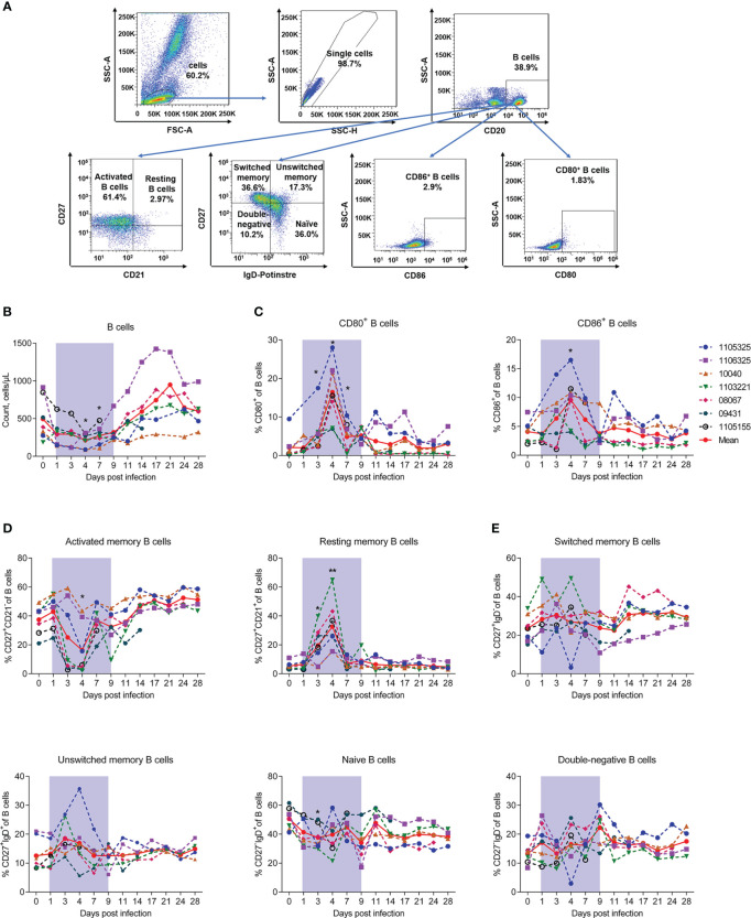 Figure 4