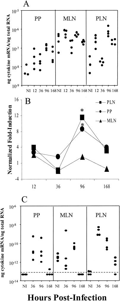 FIG. 2.