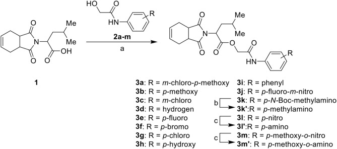 Scheme 1