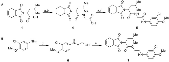 Scheme 2