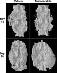 graphic file with name JSP2-4-e1132-g004.jpg