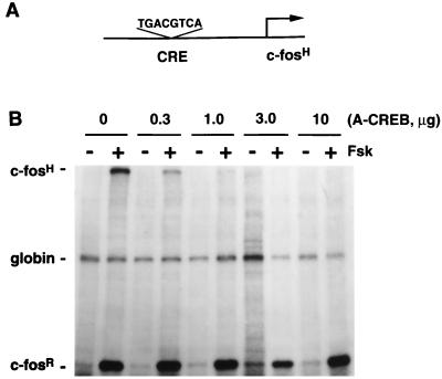 FIG. 5