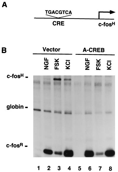 FIG. 8