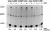 FIG. 10