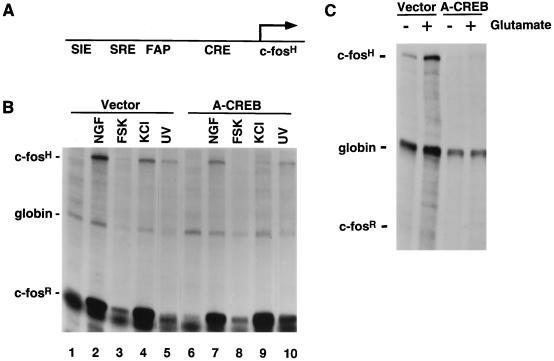 FIG. 9