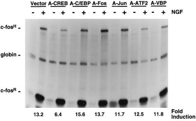 FIG. 10