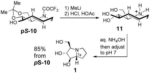 Scheme 4