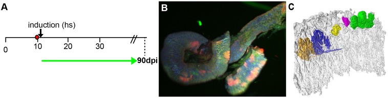 Fig. 6.