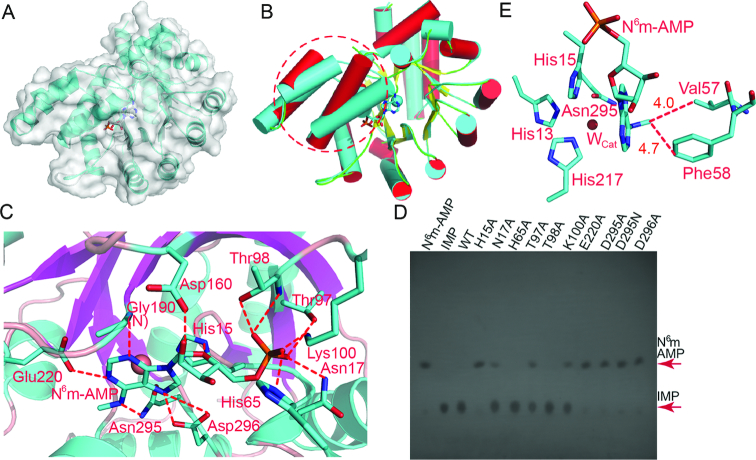 Figure 2.