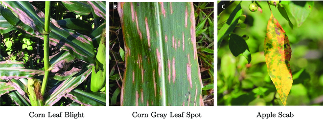 Fig. 7.