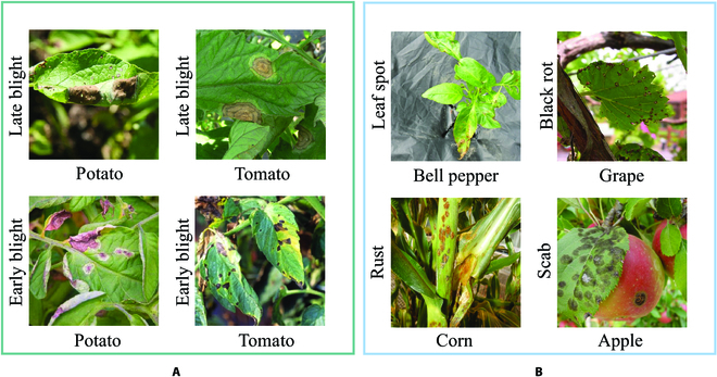 Fig. 3.