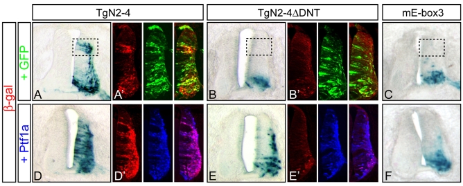 Fig. 7.