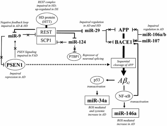 Fig. (2)