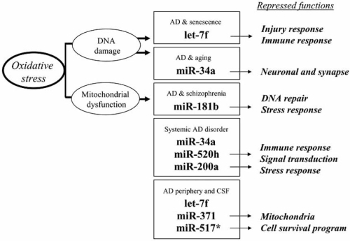 Fig. (1)