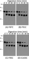 Fig 4