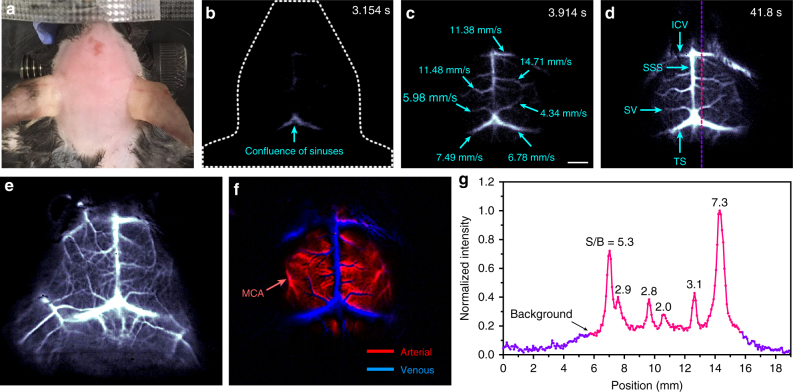 Fig. 4