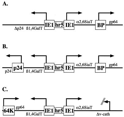 FIG. 1