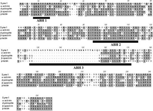 Figure 2.