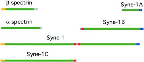 Figure 9.