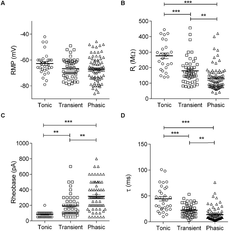 FIGURE 3