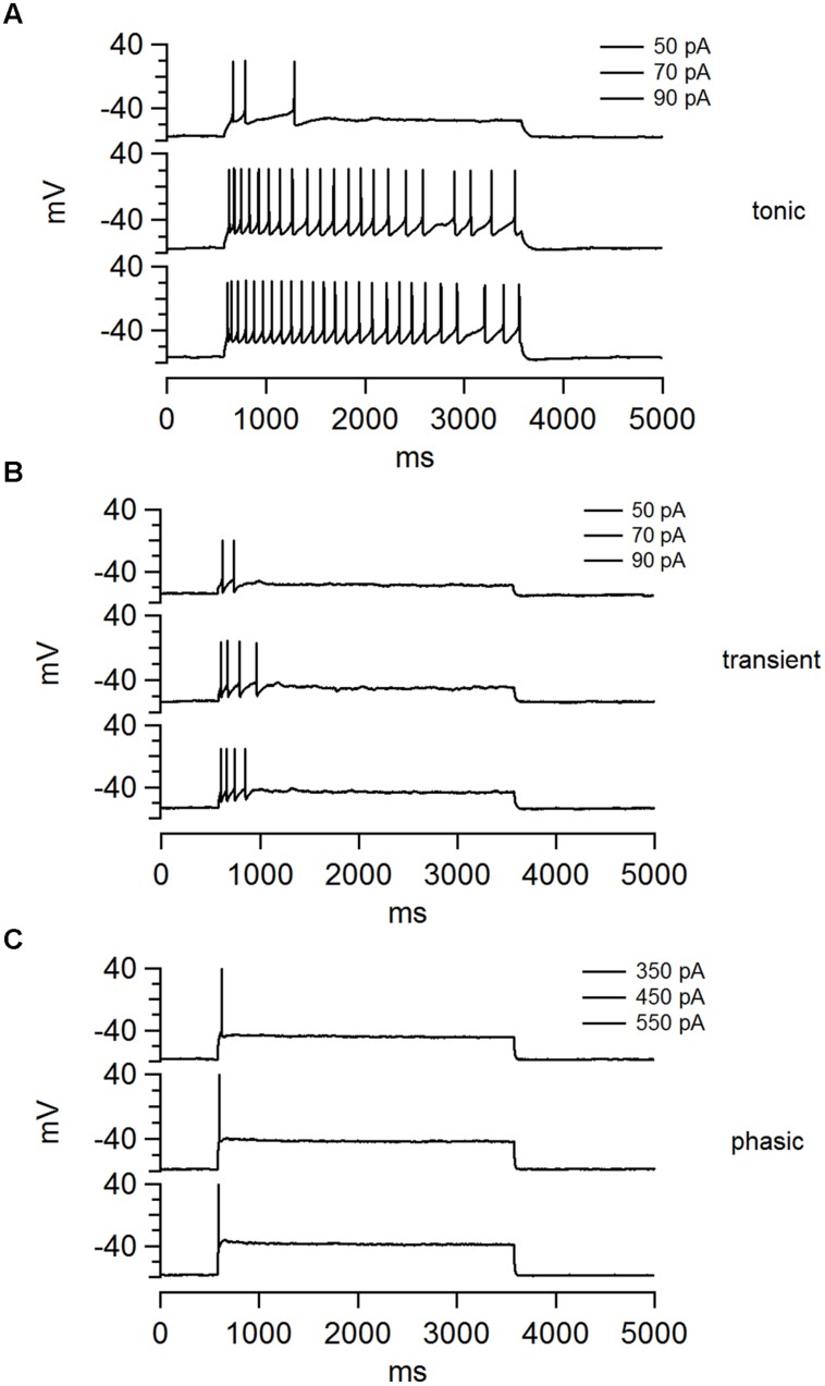 FIGURE 1