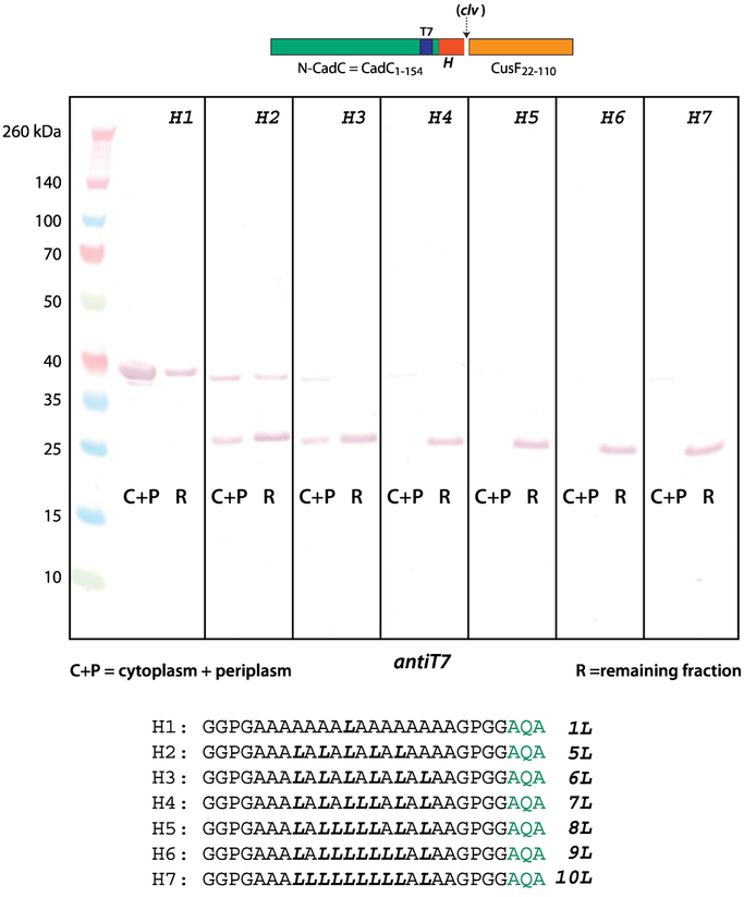 Figure 5.